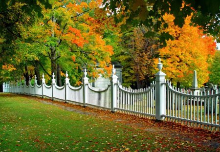 Autumn comes - nice, branches, fence, trees, autumn summer, lovely, nature, calm, forest, pretty, beautiful, leaves