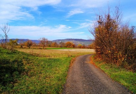 Country Road - fields, sky, trees, colorful, road, nature, clouds, blue, beautiful