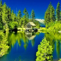Green reflections