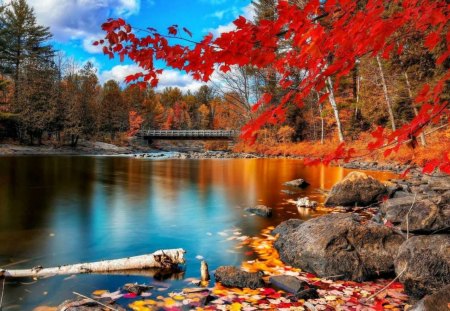 An autumn day - trees, forest, water, autumn