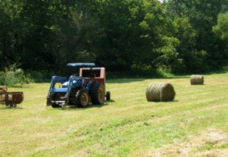 The Working Farm - brown, hay, trees, feild, green, grass