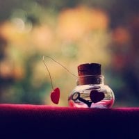 Love in Bottle