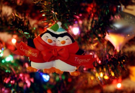 ✿ Christmas together ✿ - warmth, penguins, decoration, forever, fashion, friendship, entertainment, love, home, tree, christmas, lights, friends, couple