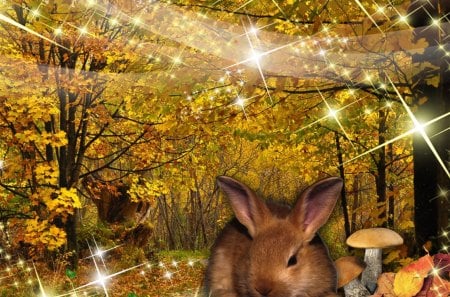 Fall Bunny Sparkle Bright - mushrooms, autumn, trees, path, bunny, rabbit, fall, forest, leaves, toad stools, sparkles, lane