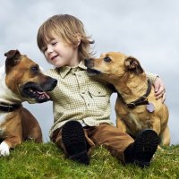 *** The boy with his friends ***