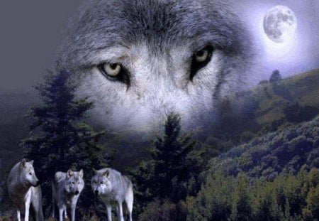 My Brother's Spirit - wolves, moon, abstract, trees, animals, fantasy