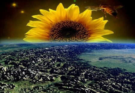 Sunflower the planet - fantasy, earth and space, sunflower, the planet