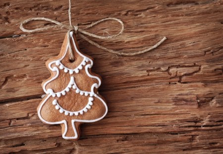 Christmas Cookie - pretty, magic, wood, sweets, holidays, cookie, christmas sweets, christmas cookies, holiday, magic christmas, merry christmas, xmas, beautiful, photography, beauty, lovely, sweet, christmas, wooden, cookies, happy holidays