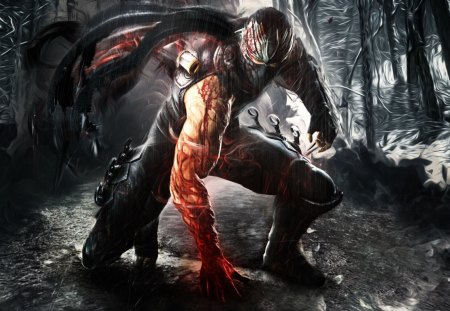 Ryu Hayabusa in Ninja Gaiden 3 - ryu hayabusa, game, hd, ninja gaiden 3