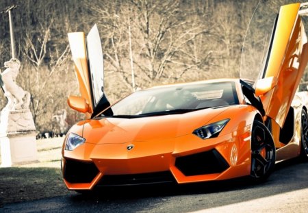 Lamborghini Aventador - hd, cars, orange, lamborghini aventador