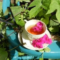 âœ¿ Romantic tea in the garden âœ¿