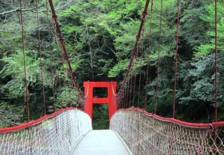 suspension bridge - mountain, red, hiking, suspension bridge