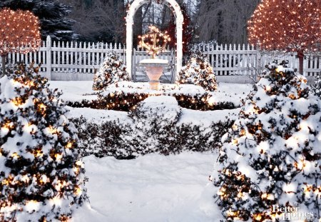 winter garden - snow, winter, nature, garden