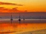 BOATS at SUNSET