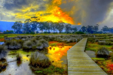 SUNSET SWAMP - trees, landscape, sun, wooden, track, sunset, swamp, floor, pathway, clouds, pond, bridge