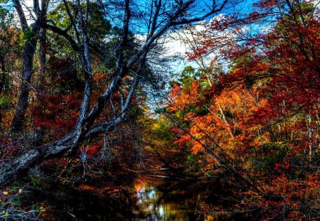 AUTUMN STREAM - usa, creek, hdr, vinings, atlanta, forest, georgia