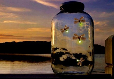 TRAPPED FIREFLIES - sky, insects, bank, light, clouds, water