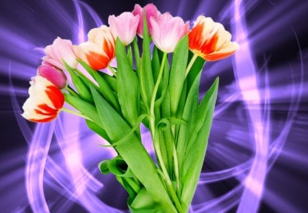 Floral fantasy - pleasant, lights, pretty, glow, tulips, beautiful, flowers, bouquet, blue, fantasy, nice, lovely, floral