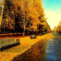 PARK after RAIN