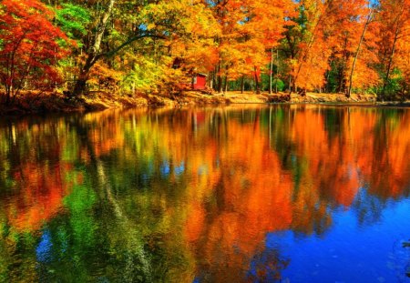 Autumn beauty - pretty, lonely, cabin, reflection, crystal, leaves, shore, red, lake, nice, cottage, falling, house, water, beautiful, mirrored, lovely, lakeshore, fall, colorful, nature, autumn, clear, foliage