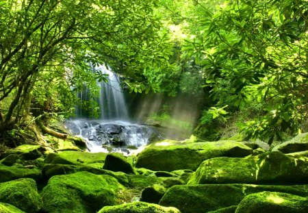 Waterfall among greenery - pretty, creek, stream, forest, light, nice, falling, branches, trees, water, beautiful, lovely, stones, fall, dazzling, glow, nature, waterfall