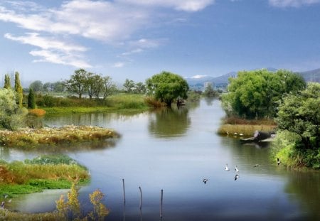 Calm Lake - lake, sky, mountain, trees, animals, daylight, day, water, bushes, nature, ducks, clouds, flowers, grass, land, brush