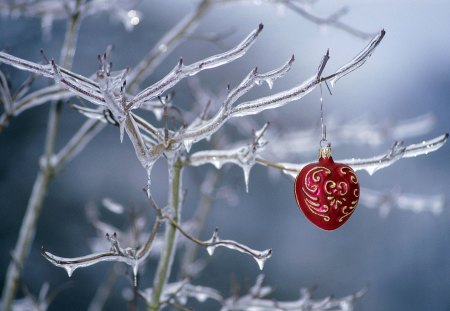 áƒ¦.Happy Heart Xmas.áƒ¦ - greetings, photography, heart, creative pre-made, pretty, cool, cute, outdoor, ornaments, ice, celebrations, xmas and new year, winter, lovely, christmas, christmas tree, love four seasons, holidays, red, winter holidays, beautiful, colors