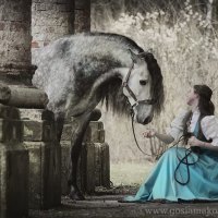 The Horse & The Maiden