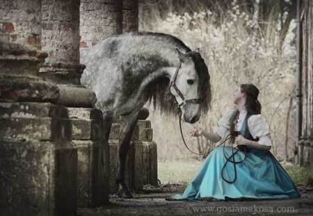 The Horse & The Maiden - spanish, grey, horses, maiden, andalusian