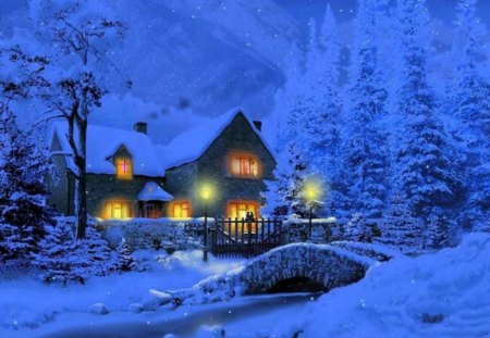 Winter House - house, winter, trees, snow