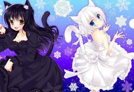 Cat Girls - girls, snowflake, cute, orginal, cat