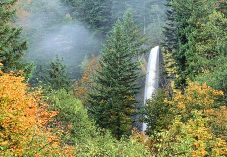 latourell falls on the columbia river in oregon - forest, autumn, falls, mist