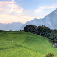 beautiful mountain pasture