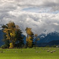 pastures in a beautiful valley