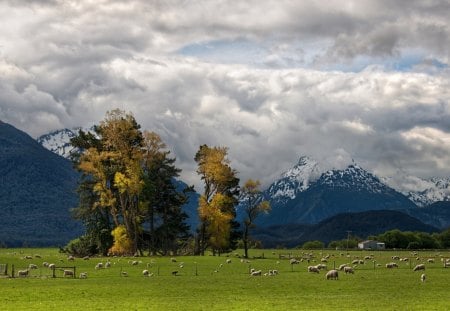 pastures in a beautiful valley - mountains, sheep, clouds, valley, pastures