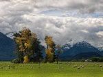 pastures in a beautiful valley