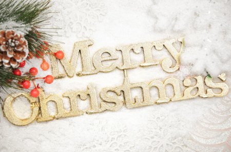 Merry Christmas - pretty, magic, snow, holidays, holiday, magic christmas, decorations, merry christmas, xmas, winter, decoration, beautiful, snowy, photography, christmas decoration, beauty, lovely, christmas, happy holidays