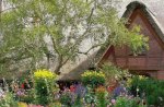 Cottage in flower garden