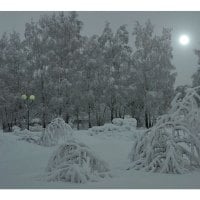 Snow covered park