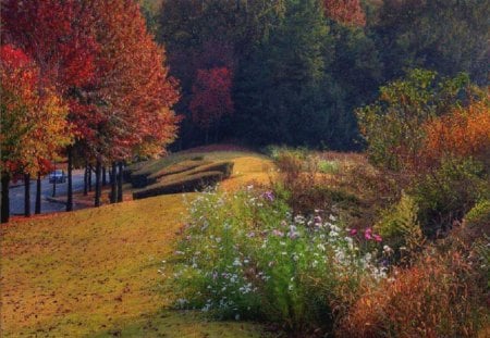 Beautiful Autumn - nature, autumn season, meadow, beautiful