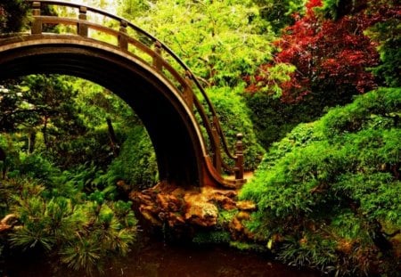 Park Bridge - nature, autumn, japan, plants