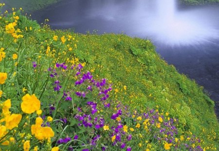 Wildflowers - flowers, falls