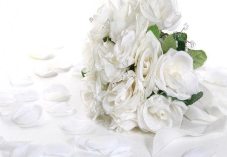 White roses - flowers, roses