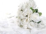 White roses