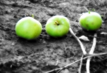 green apples - apple, garden, green