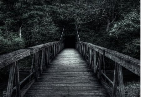 this road goes to the dark - road, wooden, dark