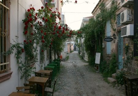 	ayvalik  cunda         turkey - turkey, ayvalik, cunda, aegean, island