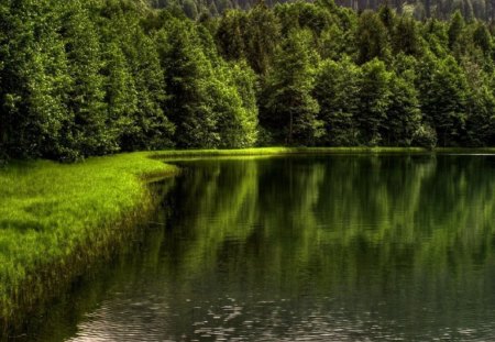 Artvin Borcka Turkey - artvin, karagol, borcka, turkey