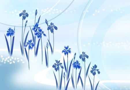 Blue orchid - wallpaper, flowers, blue, orchid