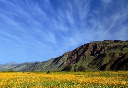 Mountains In Norway  - hills, nature